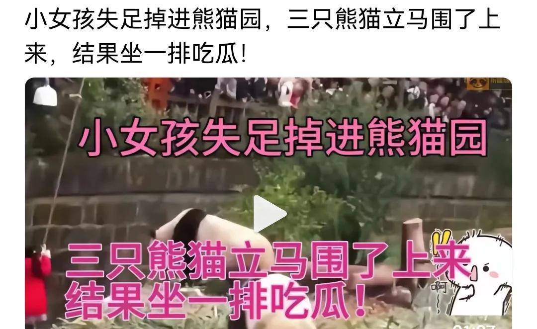 小女孩掉进熊猫园引发的一系列看法看到一个小女孩失足掉进熊猫园的事，三只熊猫立马