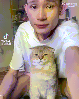 猫：差不多得了宠物卖萌中心​​​
