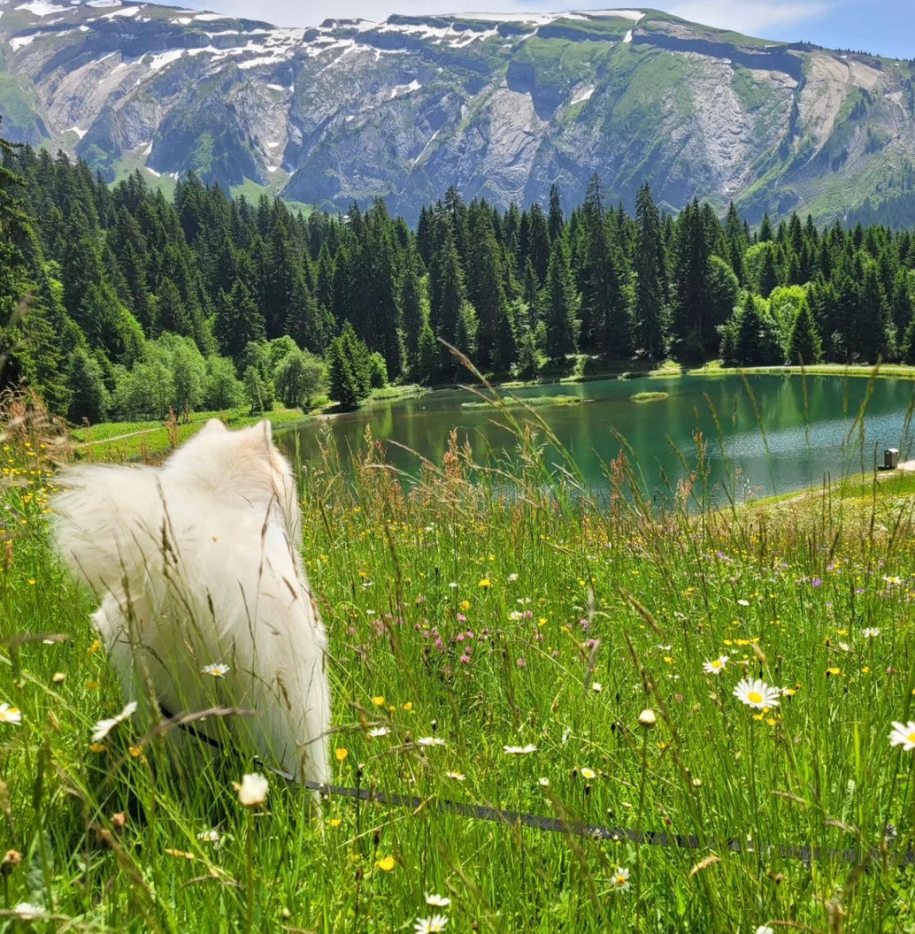 大自然这本书耶耶又翻了一页​​​