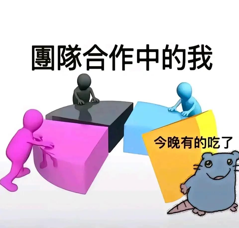 今日meme合集分享（meme合集第27期）猫猫memememesmem