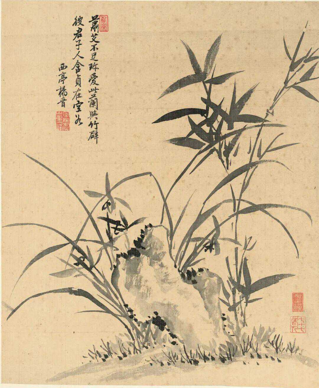 清杨晋花鸟十二开。杨晋（1644－1728），字子和，一字子鹤，号西亭，自