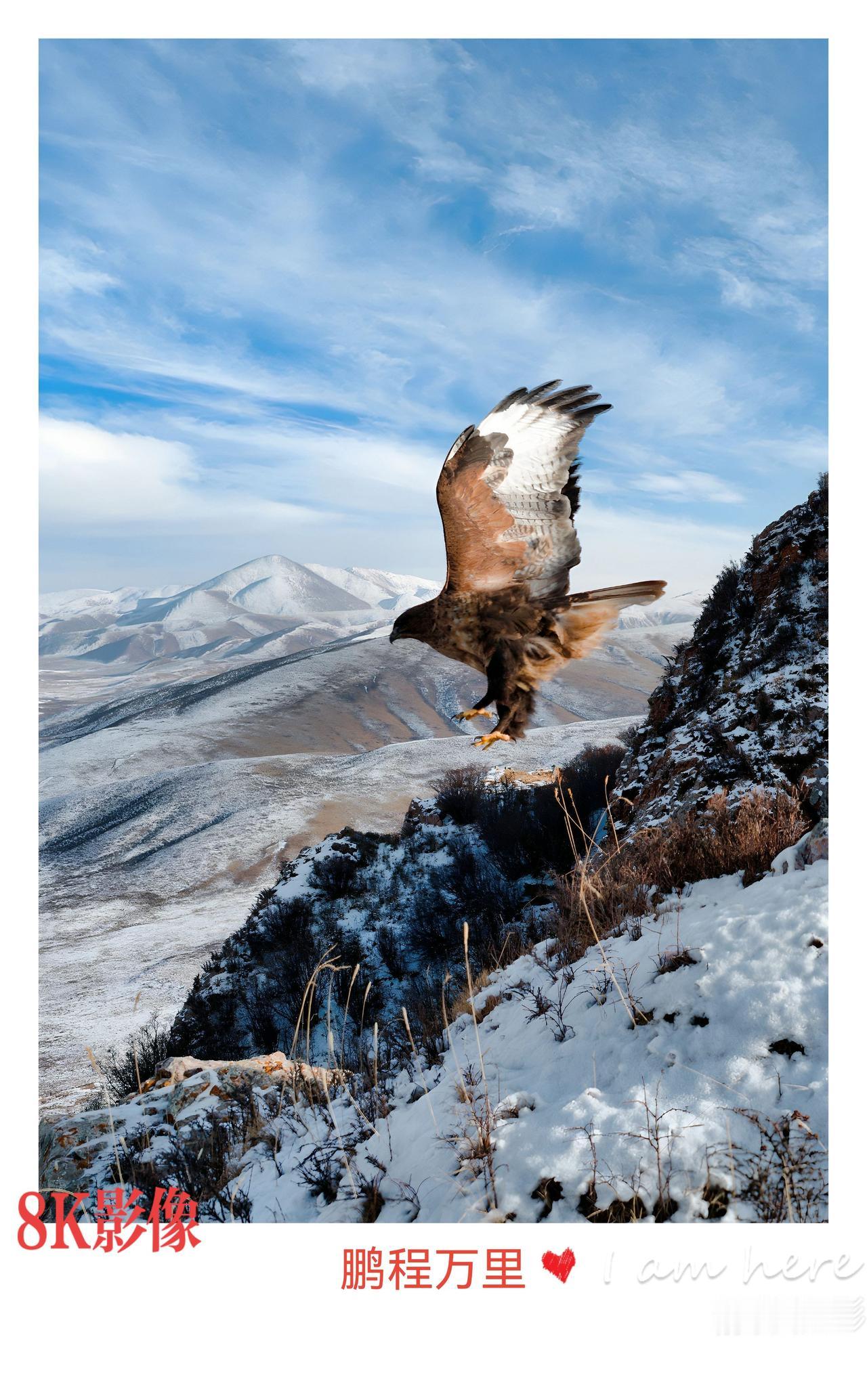 祁连山，你是大自然的杰作，你的壮美与神奇，令人心驰神往。愿你的生灵们，永远自