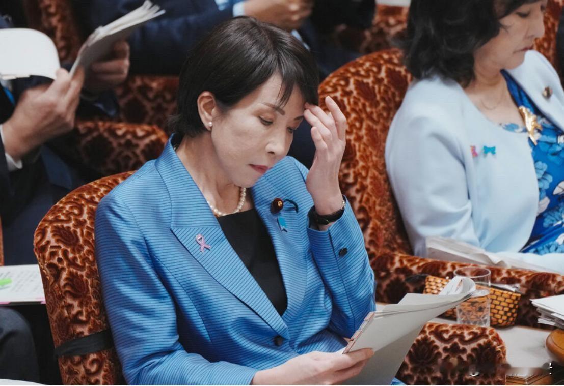 风向变了欧洲大佬排队访华日本却急喊：熊猫别跑！11月29日，日本媒体突然抛