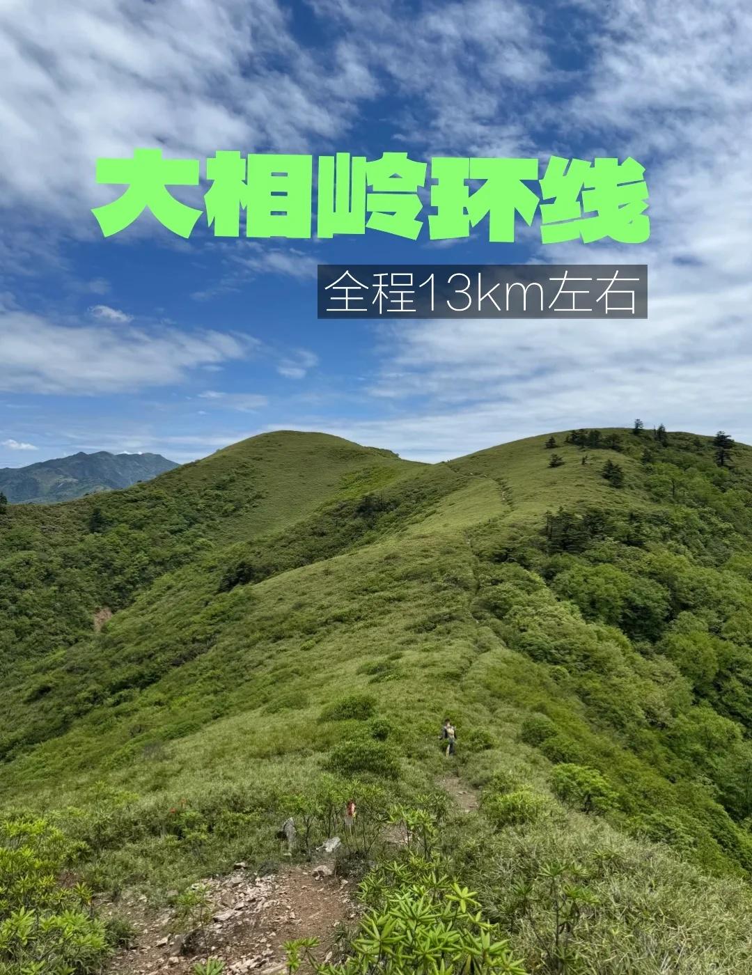 大相岭环线|真实攻略想去的看完再出发🌿大相岭环线！一望无际的高山草甸，视野开