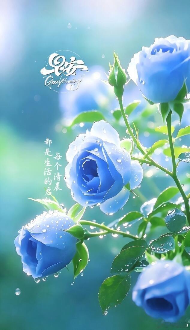 早安清晨的阳光温柔又治愈，扫去昨日的疲惫与遗憾。日子是崭新的，一切皆可期待。别焦