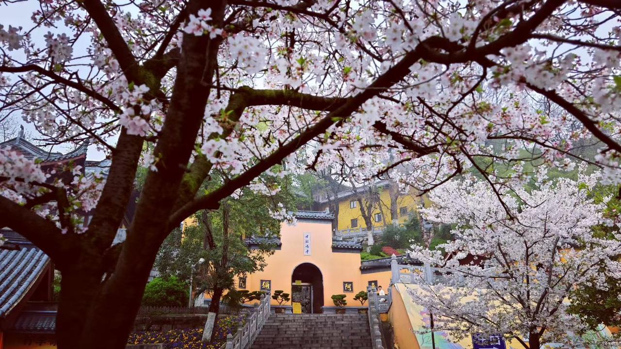 人的生命只有一次，活着是为了开心，不是为了生气咱这辈子，说长不长，说短不短