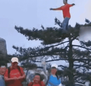 ”真是吃饱了没事干了！”一群大爷大妈去景区爬山，爬到山顶的时候，看见有一棵长得很