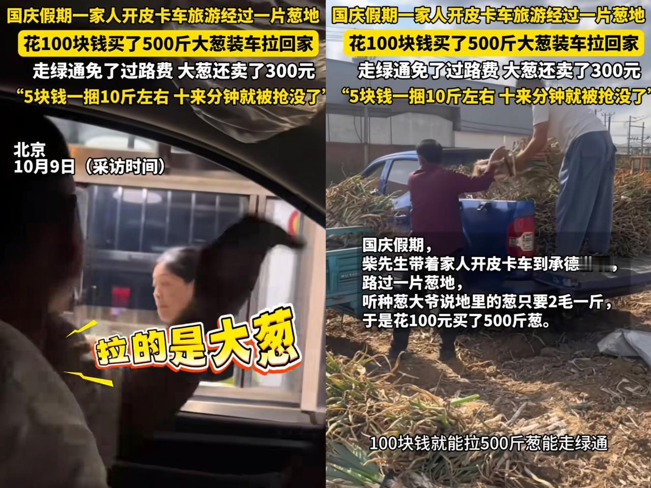 “赚大发了！”北京一男子开皮卡带家人去承德玩，路过葱地，2毛一斤的葱，他花1