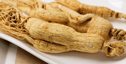 十大具有预防衰老的中药