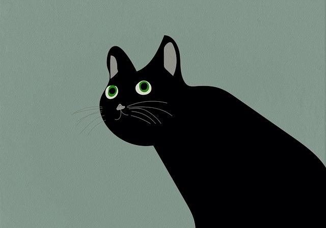 你没有价值的时候，就不会拥有“忠诚的关系”。任何关系的底层逻辑，感情深浅，能否