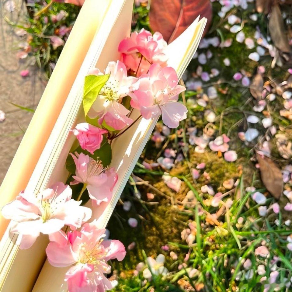 善良是一种力量，每日一善，能让我们在生活的琐碎中找到希望，找到勇气。无论面对何种