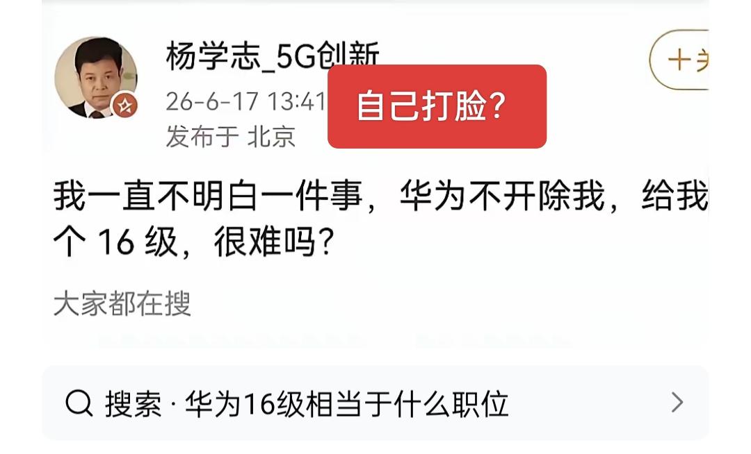 自己那么优秀，为什么会那么在乎华为的16级呢？今天才知道原来他是被华为开除的！华