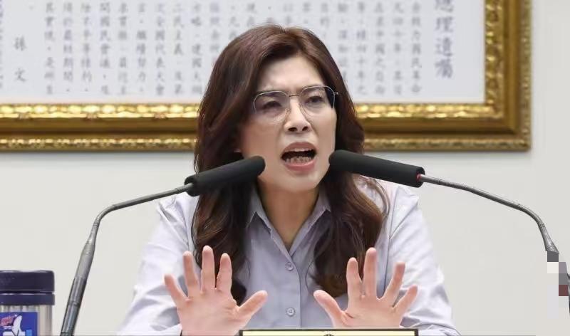 中国国民党主席郑丽文相关采访引热议6月17日，郑丽文接受英国媒体《经济学人