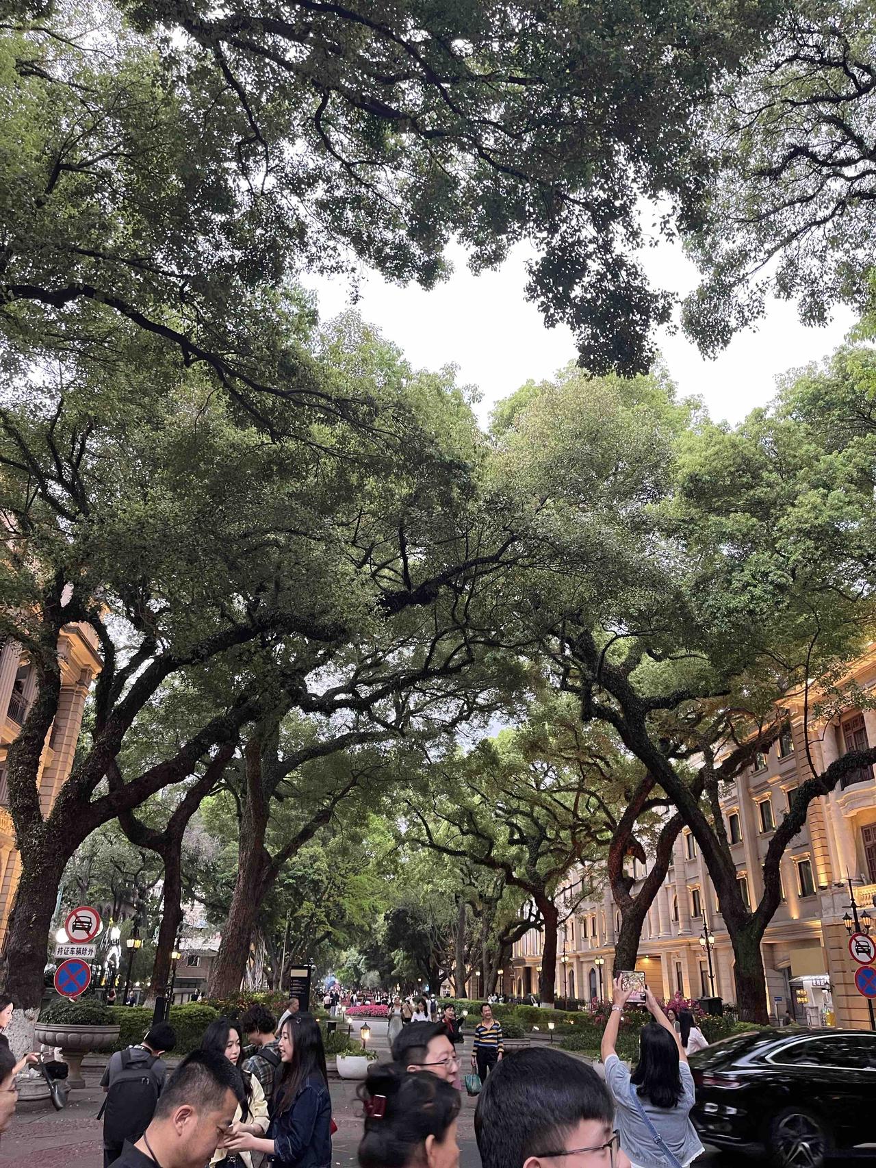 听道长说，好命是等出来的，不是抢来的。脾气越倔、越硬的人，往往越累，因为越较劲，