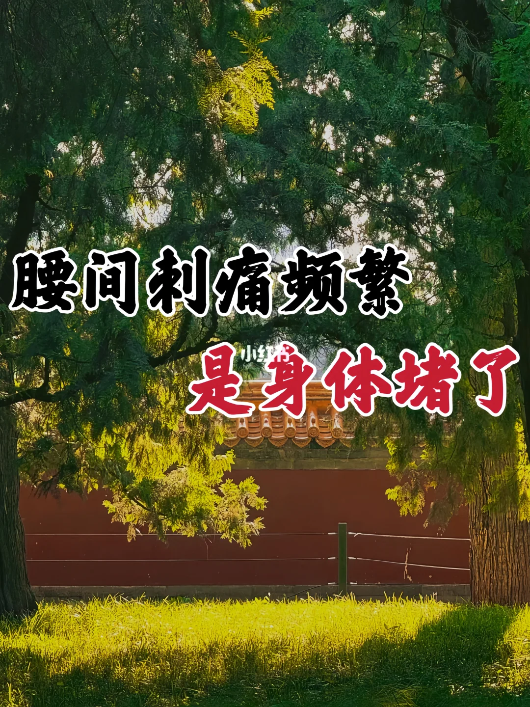 学了中医才知道腰肌劳损根源不在筋骨，而是