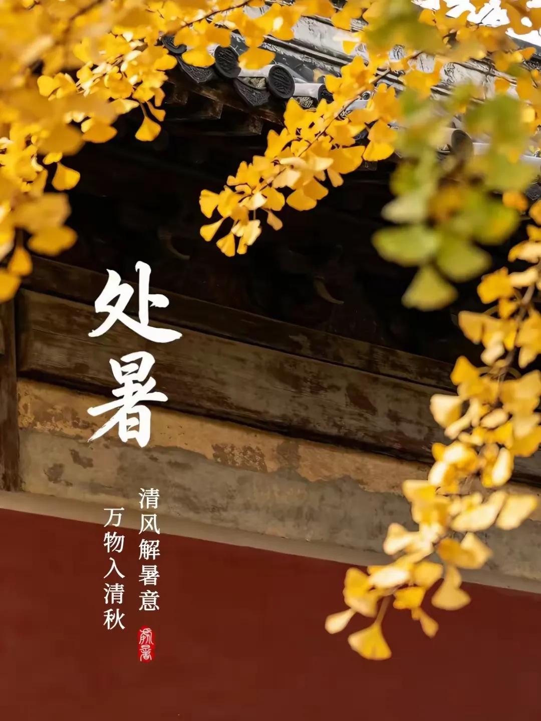 提醒各位，明天8月25号了。老话说：处暑天还暑，好似秋老虎。处暑都过了，
