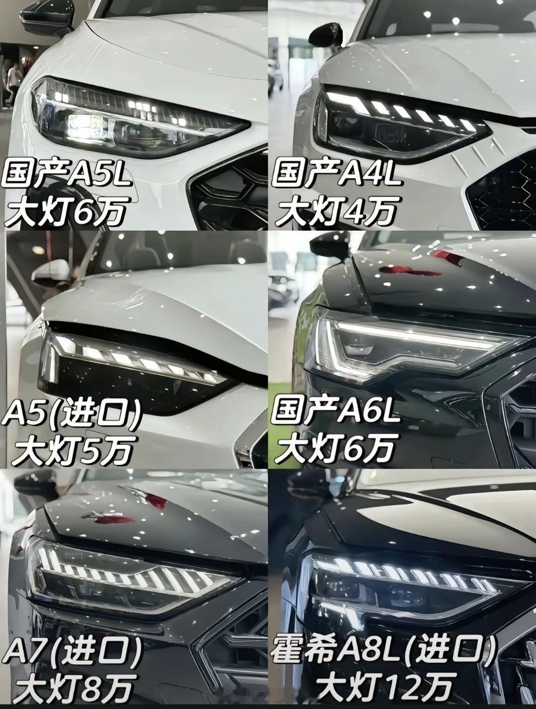 保险接线员一听是奥迪出事，第一句话就会问车灯有没有事[doge]​​​