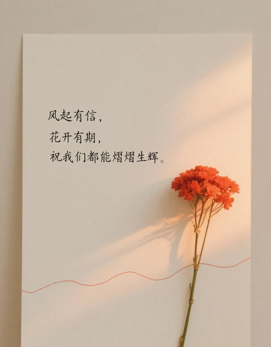 今天遛弯儿看到小区广场两拨退休大爷大妈，突然发现个特有意思的现象——文化人退休和