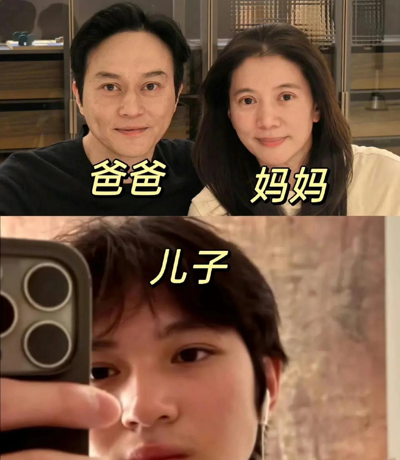 袁咏仪和张智霖的儿子现在长这样，高颜值夫妇基因还是稳定得多。#明星儿子#