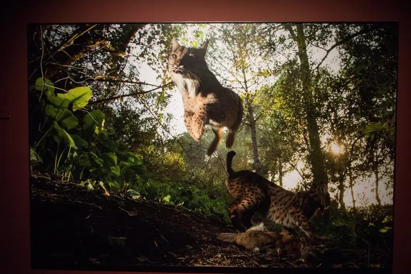 乌军前线崩溃举旗普京开出美欧没想到的停战条件：康斯坦丁诺夫卡乌军断粮部分举白旗