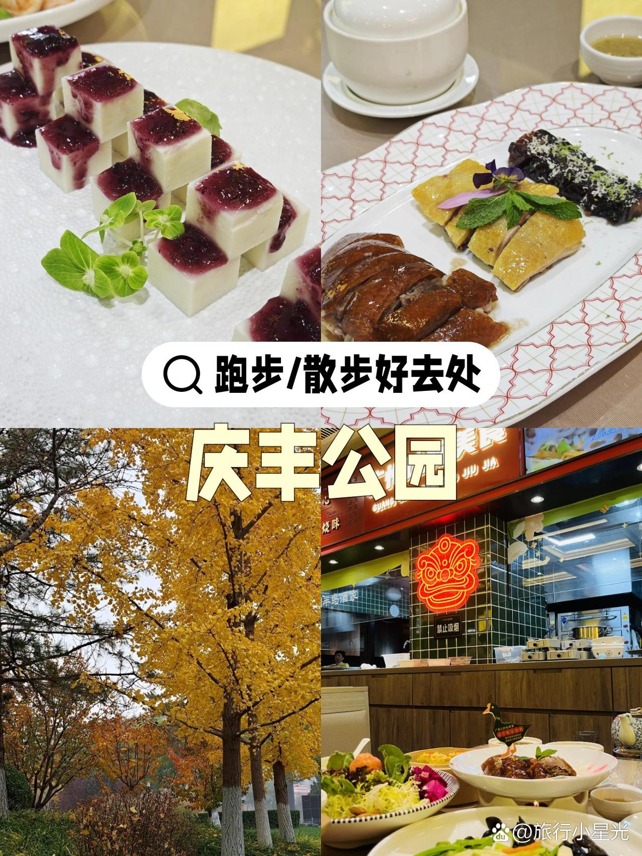 春日漫跑指南|庆丰公园的松弛感之旅被问爆的春日跑步地！绿意与晨光交织的庆丰公