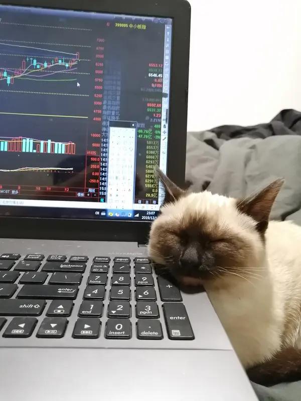 一般人炒股的心态，真的挺迷惑的——股票跌了，死死攥着不放，20%能忍，50%