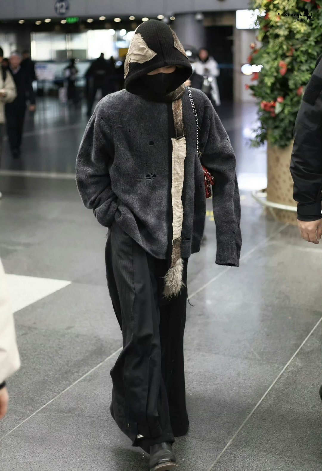 周震南何洛洛夏之光出发欢迎来到蘑菇屋2