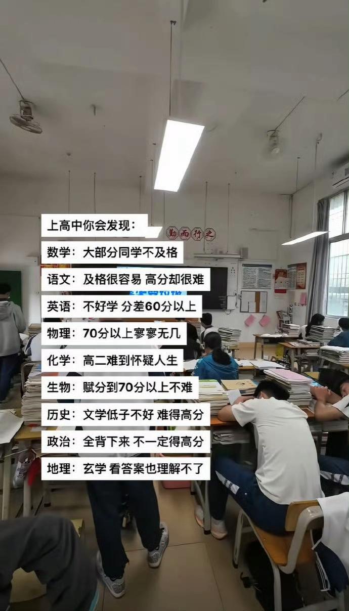 这个总结得基本属实。