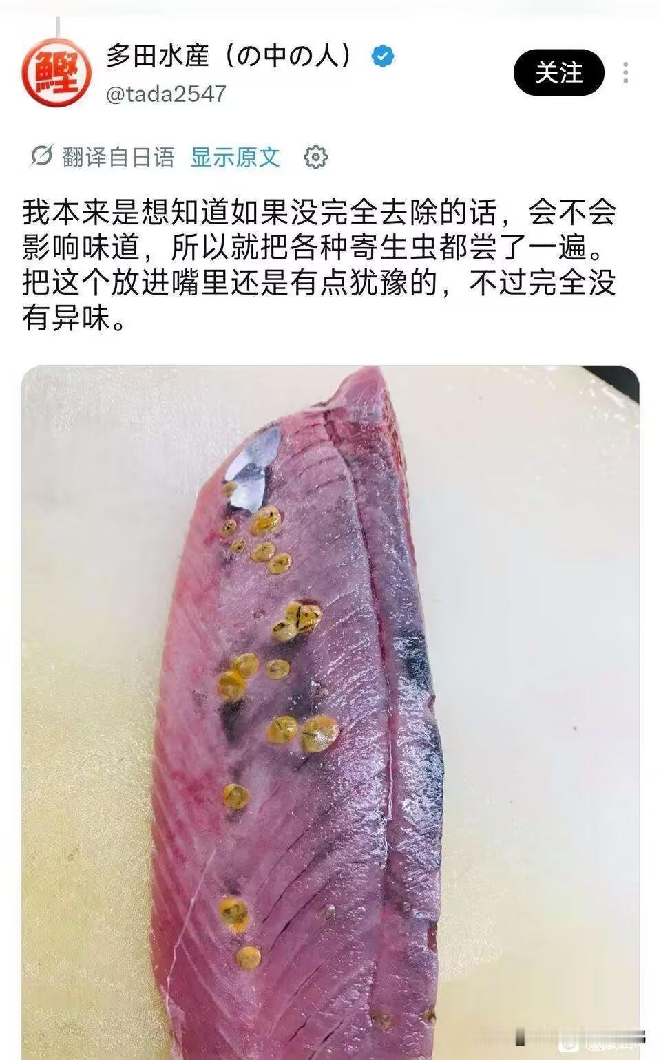 日本刺身仙人：鱼肉寄生虫越多越美味[笑着哭][笑着哭][笑着哭]海外新鲜事