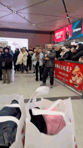 这视频火到人民日报啦！近日，在黑龙江哈尔滨，一名女子乘飞机回家