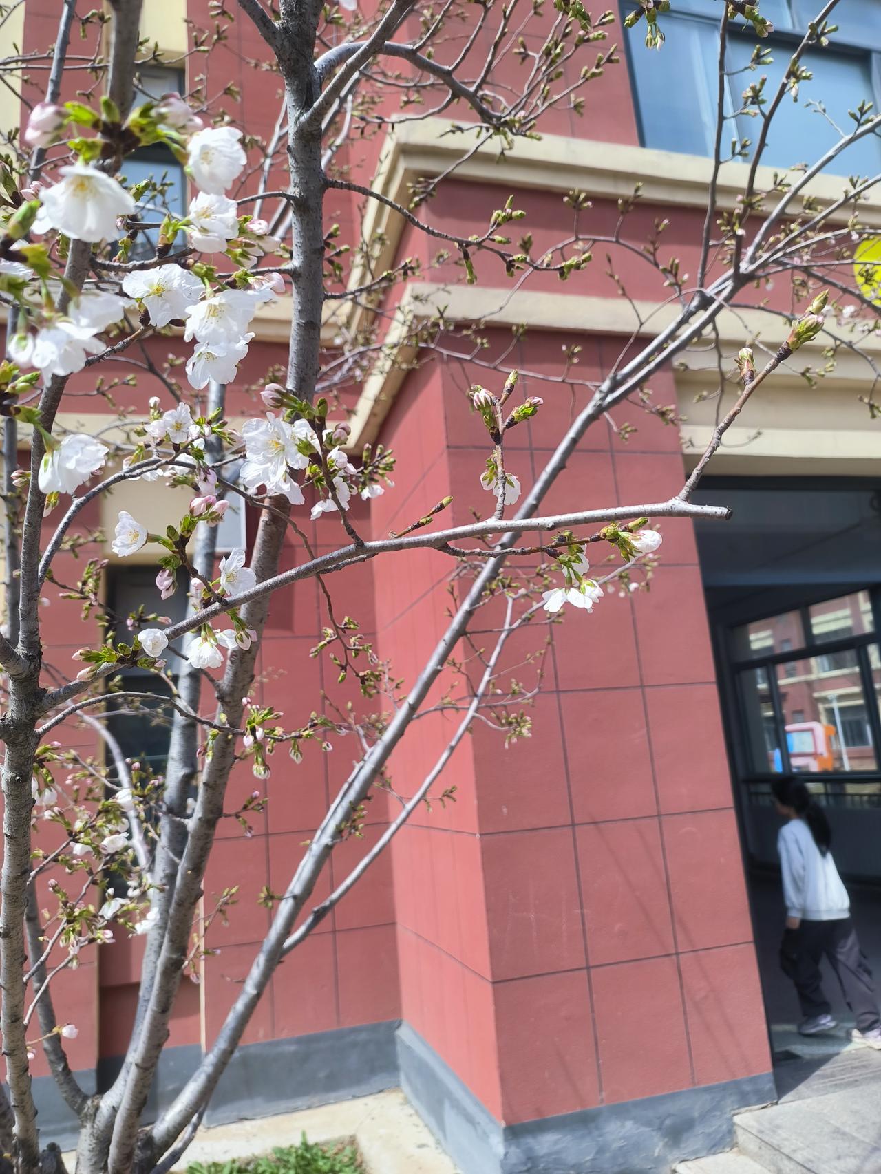 为什么非要死守教材不放？现在各种版本的教材那么多，其实都是可以使用的。有的国家没