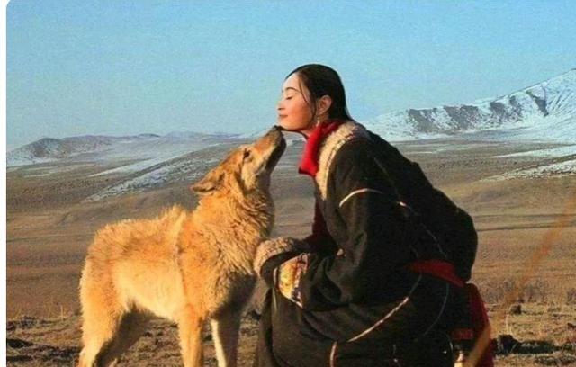 根据保护机构记录，格林最后一次被确认的活动是2020年归还红腰带的仪式性行为。2