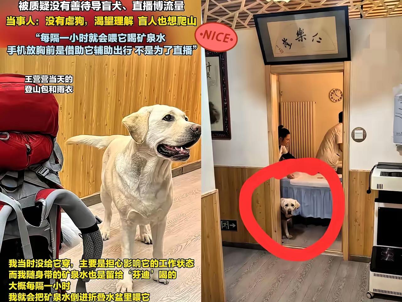 导盲犬芬迪最新后续刚刚，有网友发文称：芬迪现在仍然在北京那对盲人夫妇身边，并