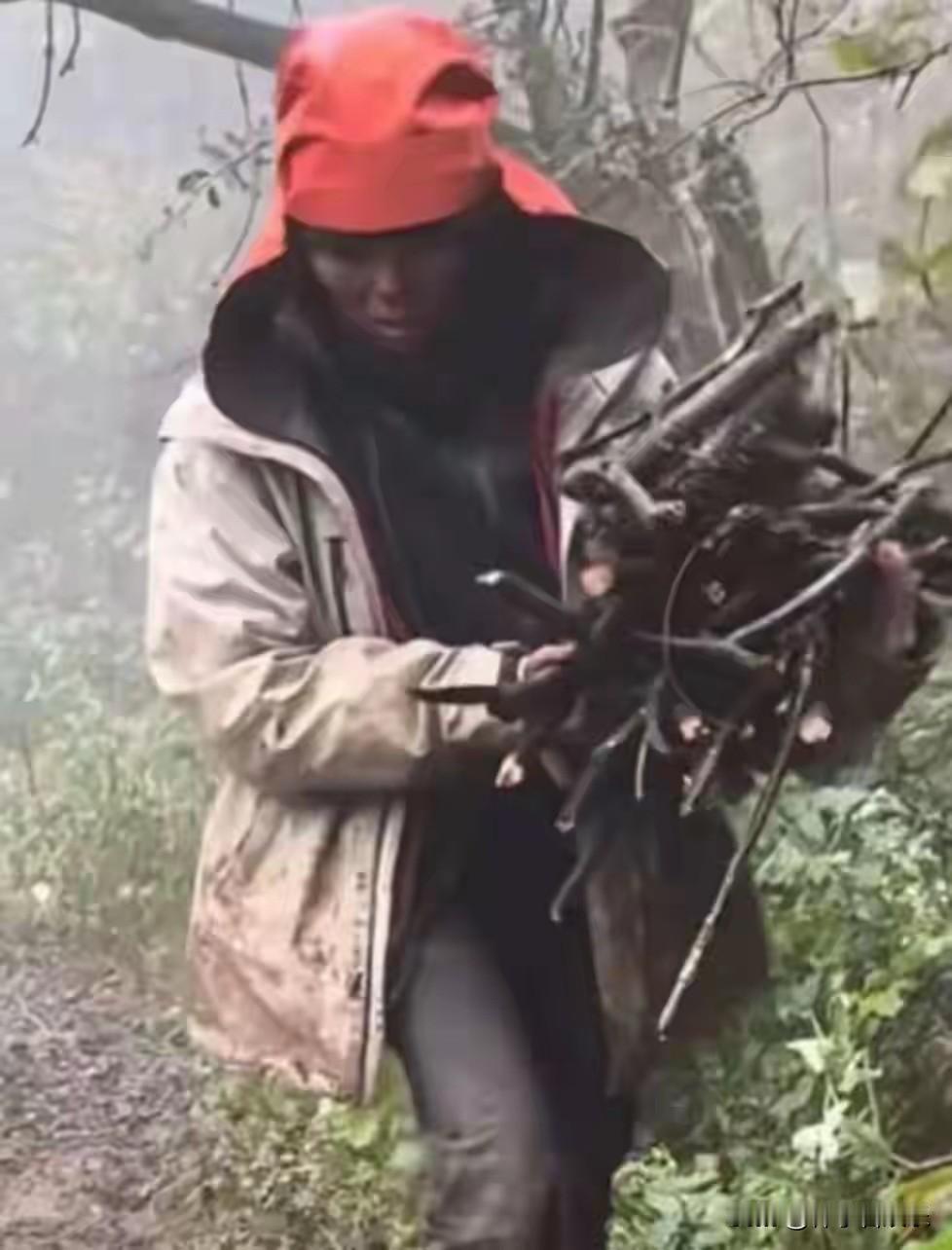 在张家界七星山“骆驼杯”国际极限荒野求生赛第34天的决战现场，29岁的云南姑娘杨