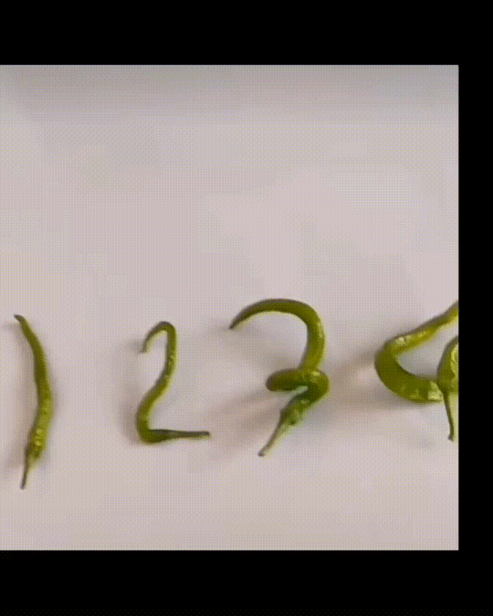 买个辣椒，还讲起强迫症来了。