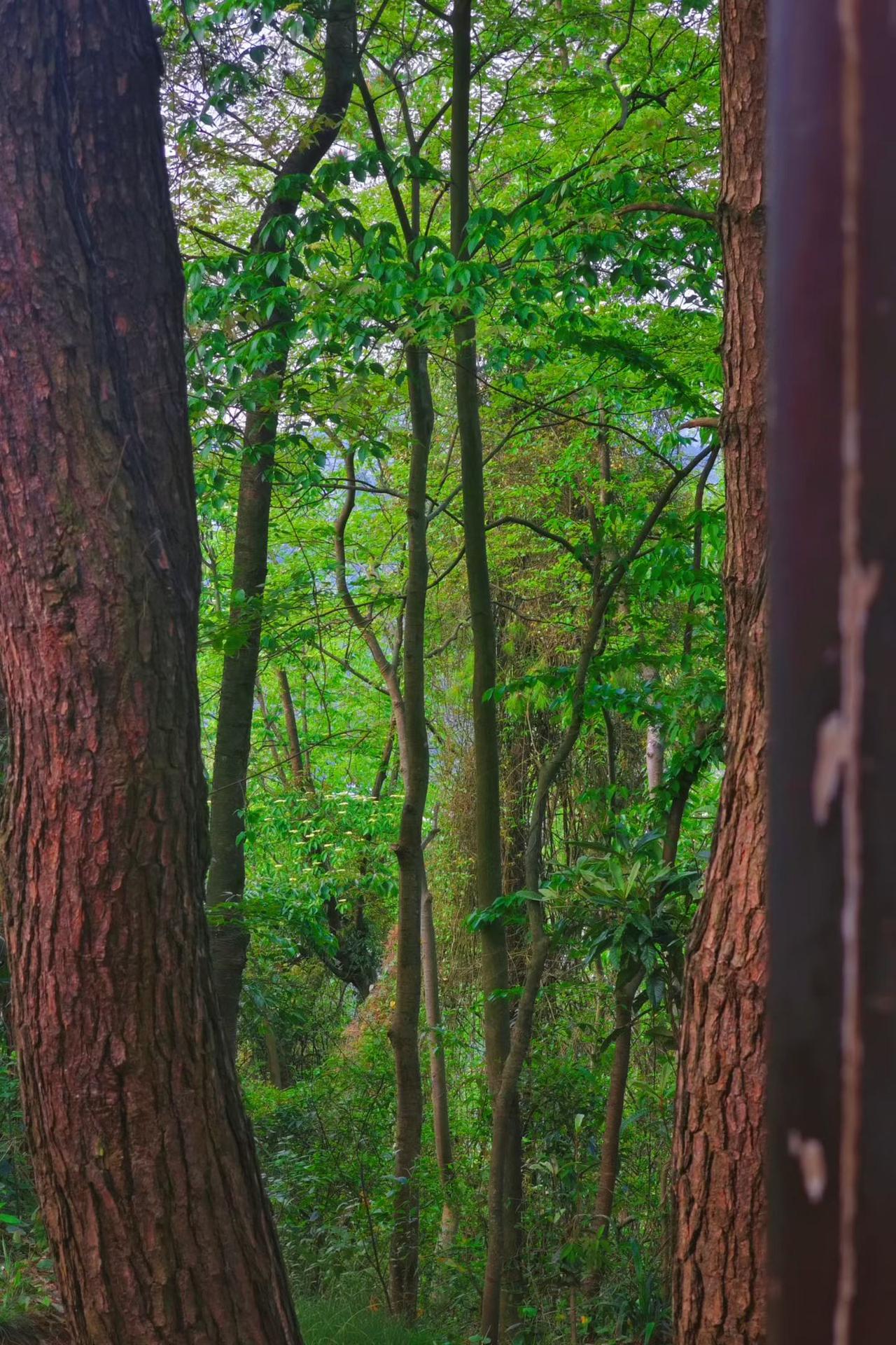 在A股玩，简单点，不要搞的太复杂。记住四个字：低买高卖！永远不会错。忘记四