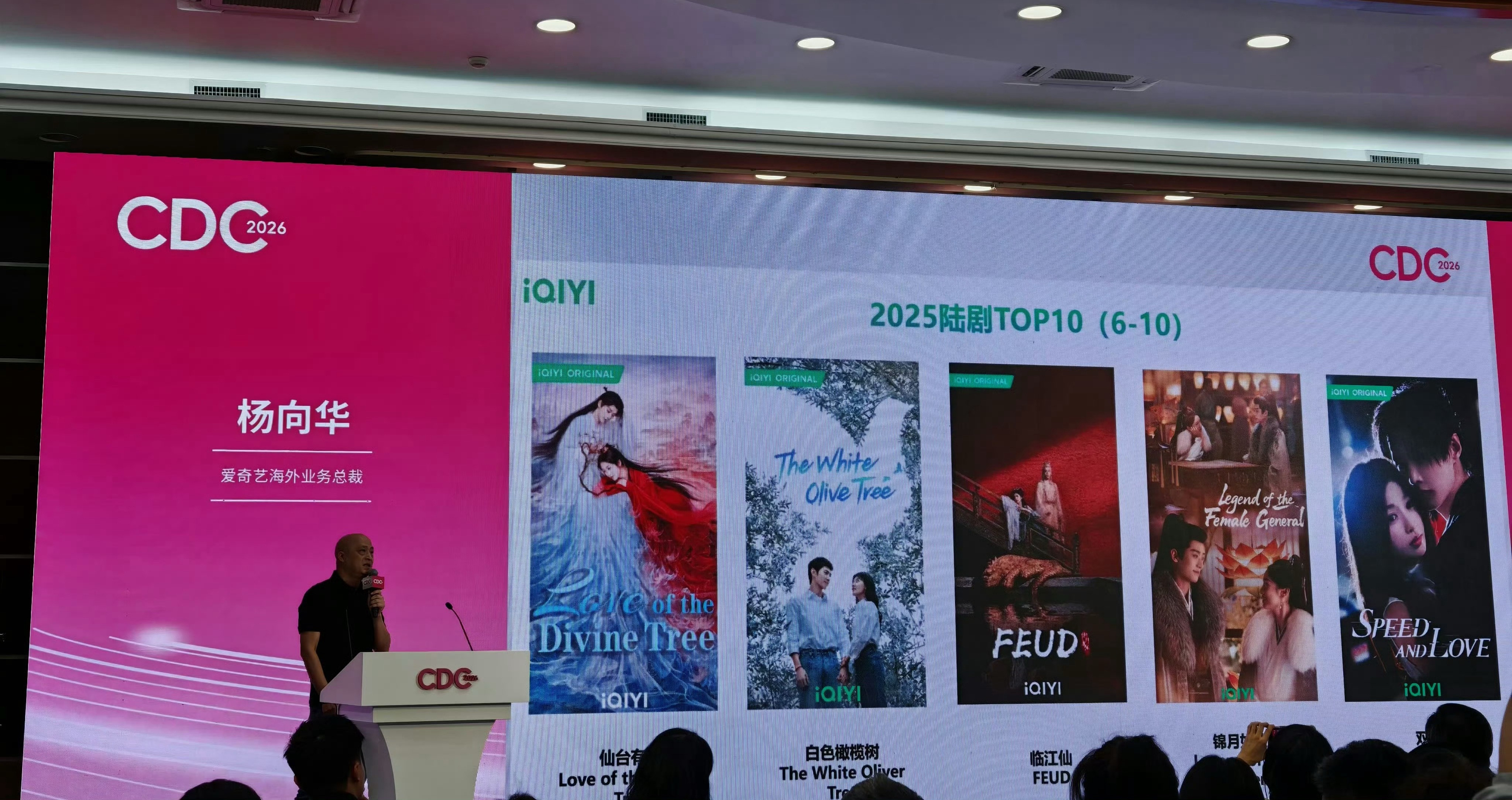 爱奇艺2025年海外播放前十作品：张凌赫、徐若含《爱你》白鹿、敖瑞鹏《白月梵星》