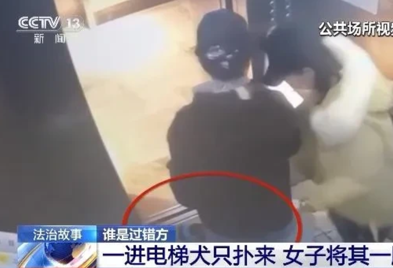 还有天理吗？北京，女子乘坐电梯下楼时，被一大妈养的小狗咬伤了腿，女子又痛又害怕，