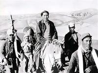 郭汝瑰坦言：没有毛泽东指挥挺进大别山，解放战争就不会只打4年这话从郭汝瑰嘴里