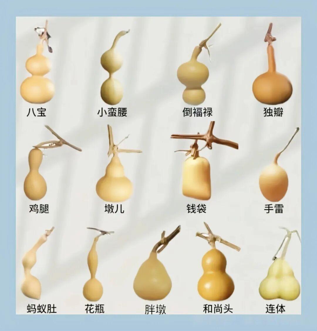 手捻葫芦保养关键就抓“干燥、清洁、少油、避损”这四点，操作起来一点不复杂。