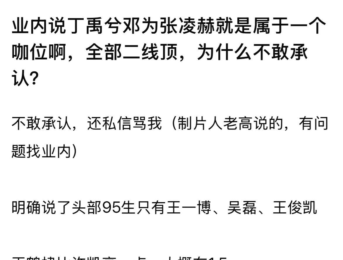#记录我的2025#95生咖位划分引热议，这个梯队说法客观吗？业内流传一种9