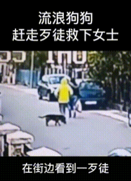 关键时刻流浪狗出手了，一男子一直跟随女子，始终女子都没有察觉，而是高兴地往家的地