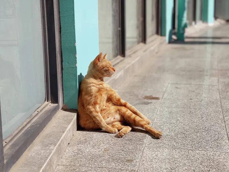 白天爱晒太阳的人可真是赚大了！2024年《美国国家科学院院刊》一项追踪近9