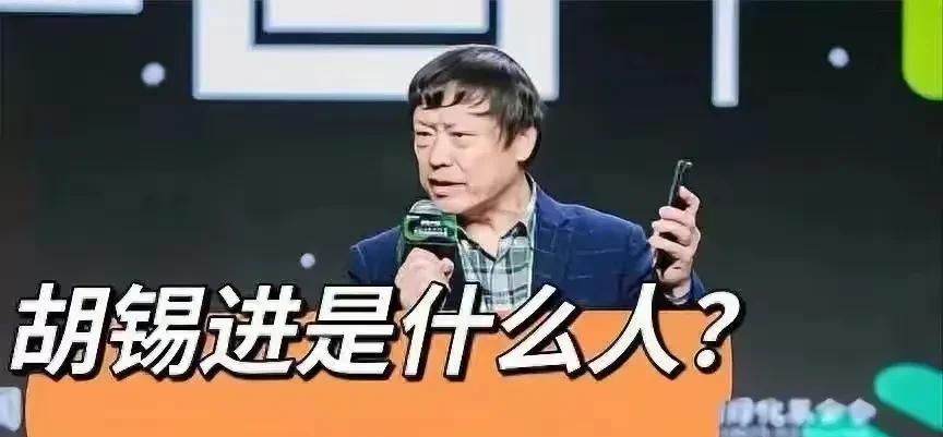 胡锡进这人真是让人一言难尽。怀疑他说话前到底过不过脑子，那言论经常就是胡言乱语、