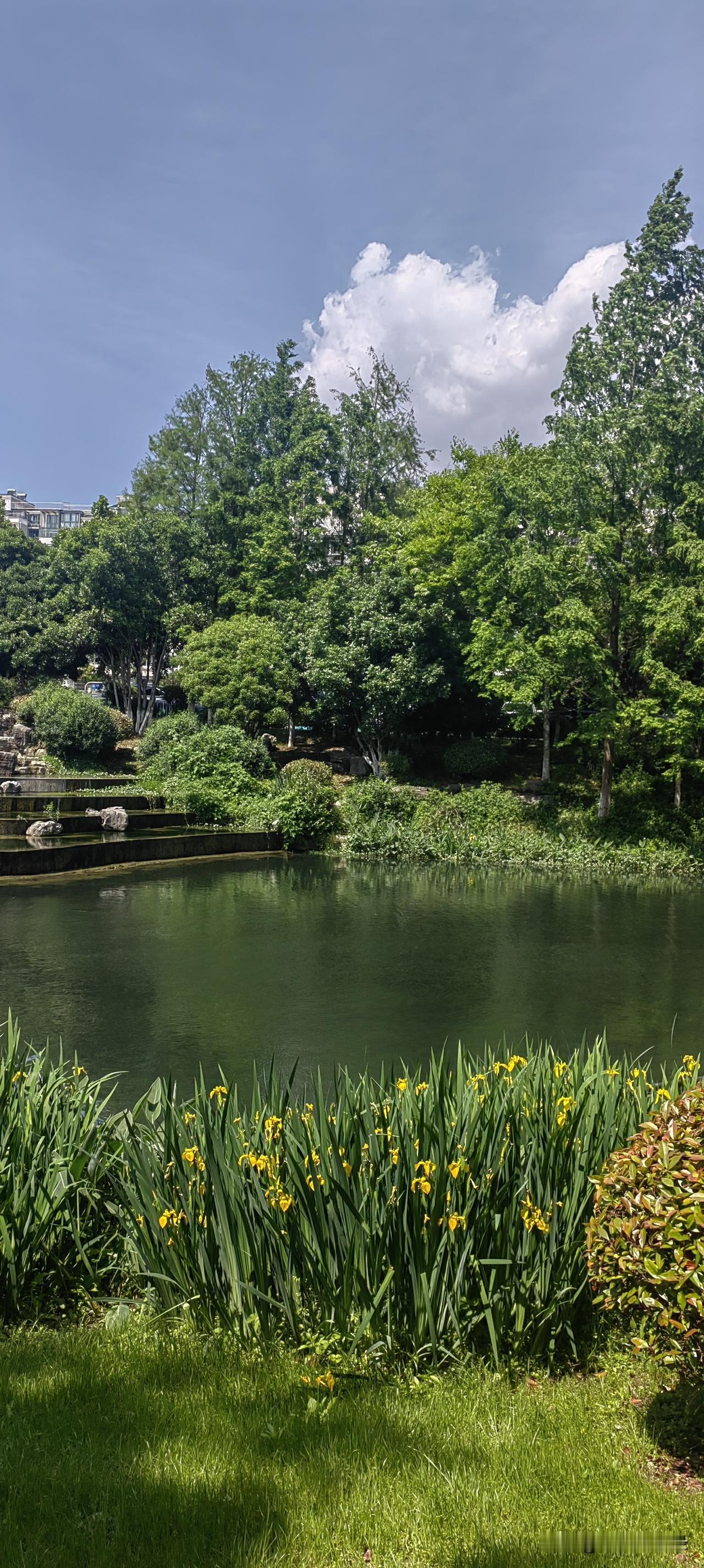 属鼠的人5月注定有一场变动:最该放下的，是那些反复折磨自己的旧执念。属鼠的