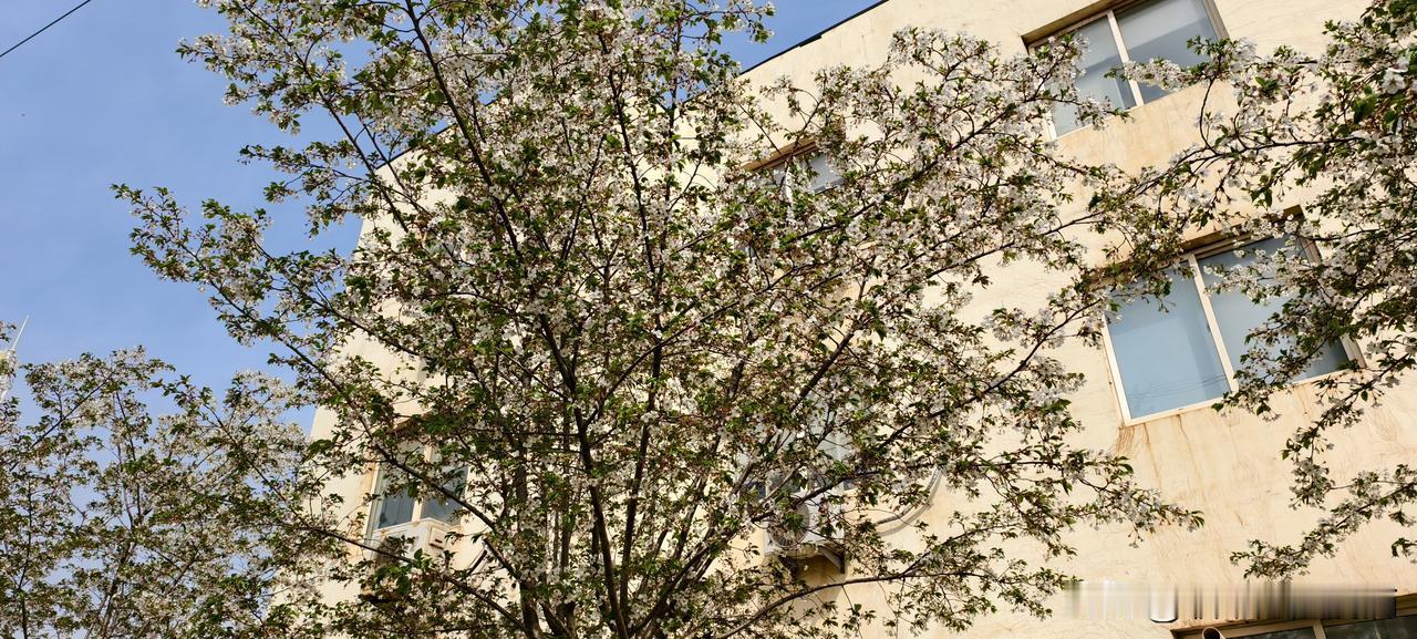 那个在会议上从来不敢说话的小姑娘，今天给全公司做培训了先讲个真事儿。我们