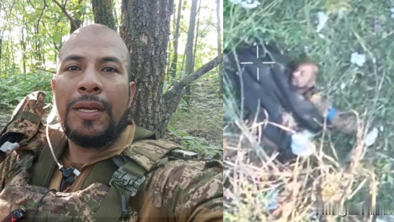 雇佣兵存活期一个月左右。哥伦比亚人尼尔森·罗兰多·托科切·帕尔多，代号“埃尔·卡