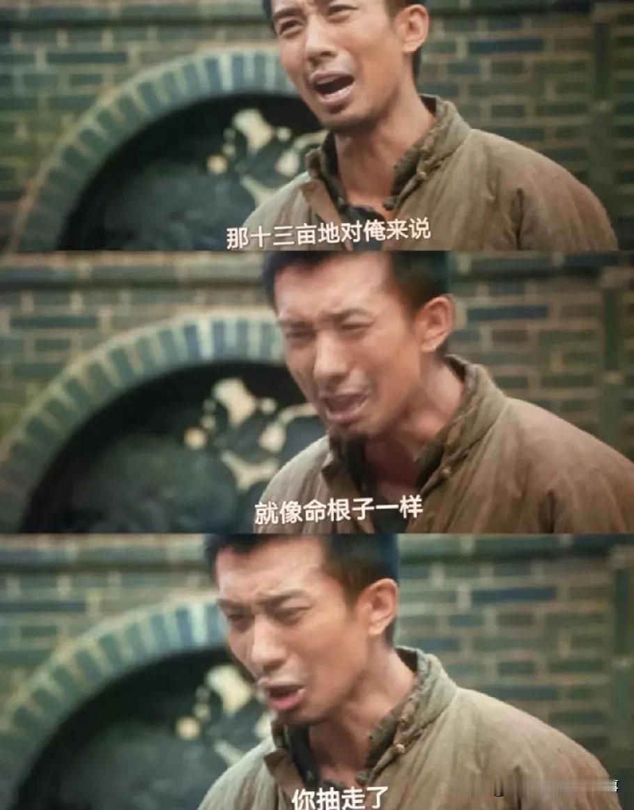 《生万物》里铁头这段戏，真是能把人看乐了又堵得慌。原以为地是他家的，闹了半天是欠