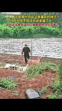 你敢信吗？一个的哥，接了个“上坟”的单。说实话，第一反应我以为是段子。真