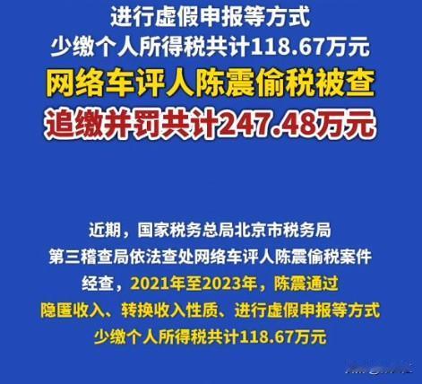 底下有网友说每一分钱都缴税，没有这样的傻子吧。陈震：对！我就是那个傻子！央视